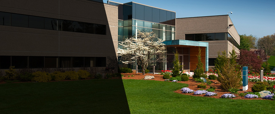 Vacherie Landscapers